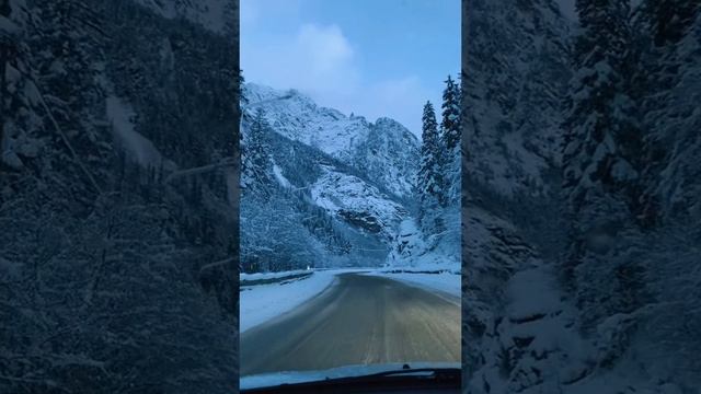 Красивая природа,как считаете?