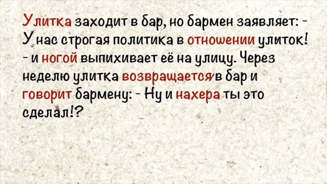 Бестолковый гаишник нарвался на дерзкого водилу . Сборник смешных анекдотов. смотреть онлайн
