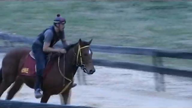 PA bred Afleet Alex filly gallops at Horseshoe Hill Farm on 11/15 смотреть онлайн
