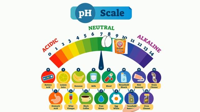 PH Scale in Simple Terms смотреть онлайн