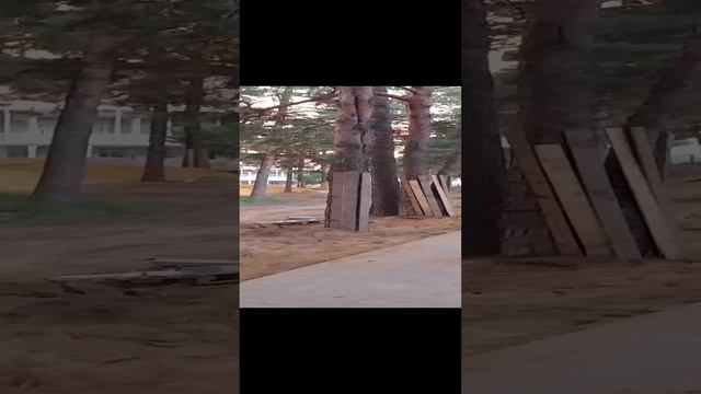 20230722_Жуковский парк на реконструкции смотреть онлайн