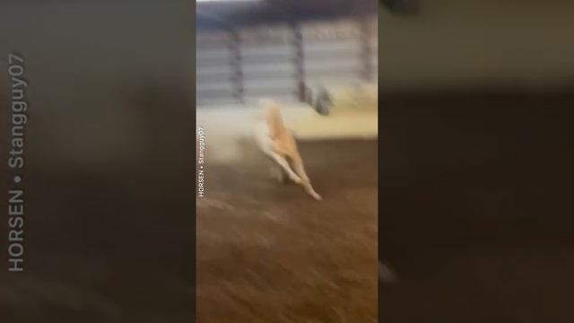 Персональная куча песка для лошади. смотреть онлайн