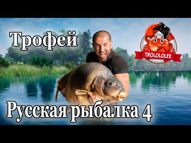 Русская рыбалка 4 Трофей с янтарного озера смотреть онлайн