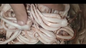 КАЛЬМАР МАРИНОВАННЫЙ,(ЩУПАЛЬЦЫ)