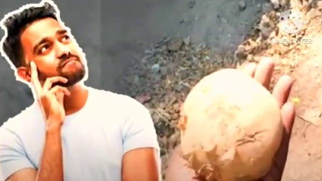 আর কতদিন হিমঘরে আলু রাখা যাবে Current Situation of Potatoes in Bengal India Potato News #মালদহ смотреть онлайн