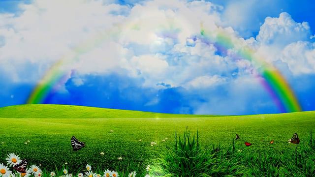 Фоновое видео 