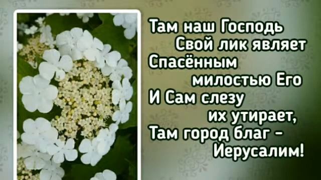Гимны надежды 382 Гора Сион, гора святая (-) смотреть онлайн