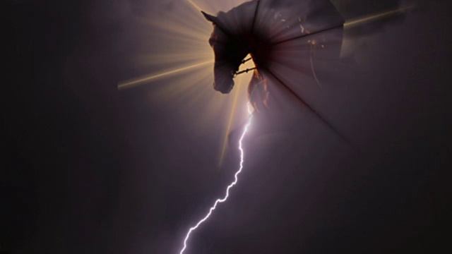 ЗВЁЗДНЫЙ ВСАДНИК смотреть онлайн