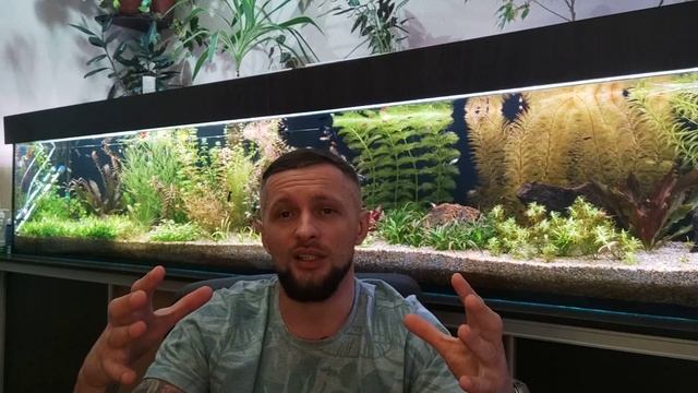 Самые продаваемые рыбки! смотреть онлайн