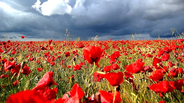 Jean-Michel Jarre - "Magnetic Fields" (Part5) смотреть онлайн