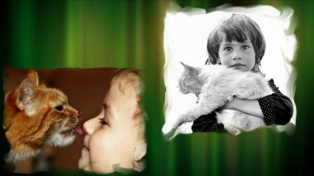 Кот Урод смотреть онлайн