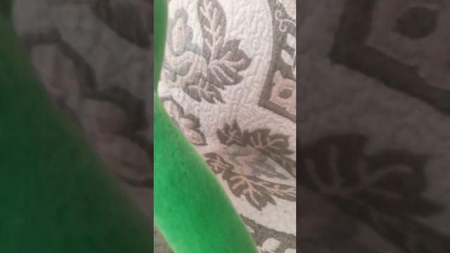 Green когда ты хочешь куда-то пройти смотреть онлайн