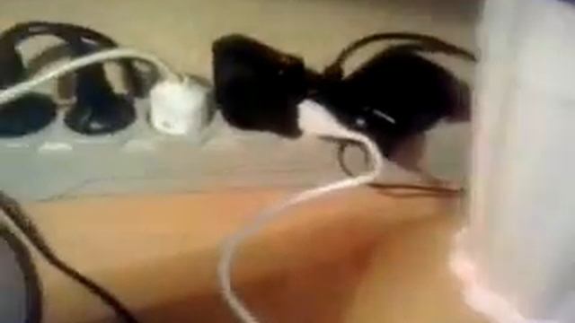 Разветвитель для зарядного устройства с USB выходом. смотреть онлайн