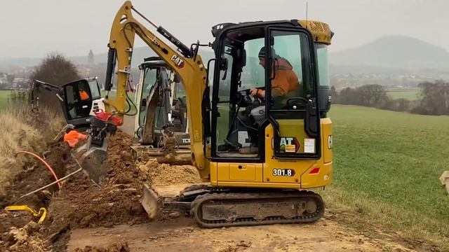 Cat 301.8 Minibagger  Bei Der Arbeit