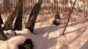 Мототолкач от Тофалара.Отзыв. Мысли вслух!