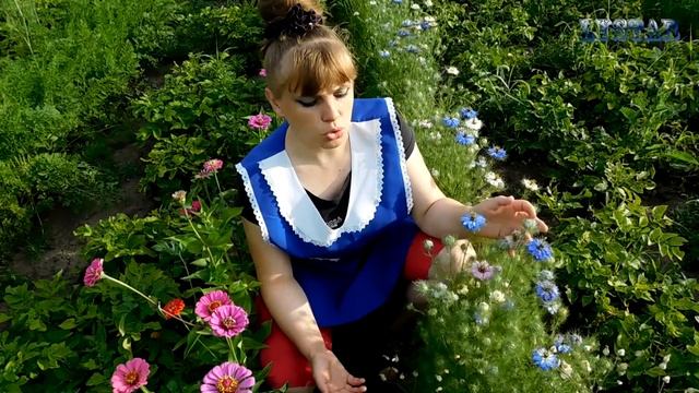 Красота НИГЕЛЛА и ЦИНИЯ. Как вырастить нигеллу и цинию. Выращивание нигеллы и цинии. смотреть онлайн