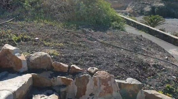 Что посмотреть на острове Fuerteventura?(с ссылками)