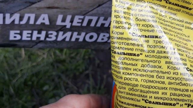 Чем кормить и поить цыплят смотреть онлайн