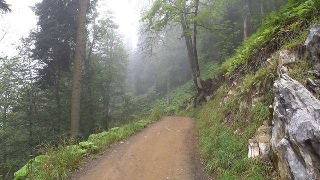 РОЗА ХУТОР. ПАРК ВОДОПАДОВ МЕНДЕЛИХА. РОЗА ПИК 2320 МЕТРОВ. ПРОГУЛКА В ОБЛАКАХ смотреть онлайн