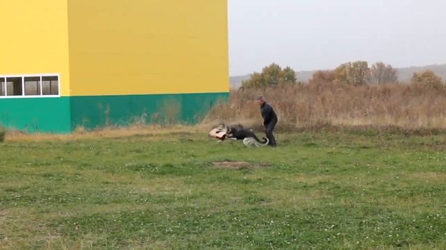 Тренинг ЗКС с Евгением Сусловым смотреть онлайн