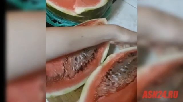 Разочарование: гнилой арбуз казался свежим в магазине смотреть онлайн