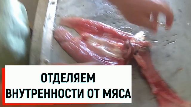 Веганская Кухня: Идеи и Рецепты