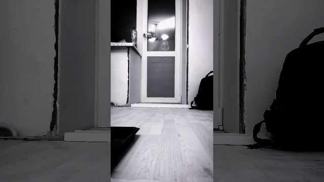 момо не спит. #момо смотреть онлайн