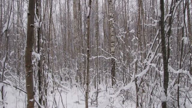 много дорог.wmv смотреть онлайн