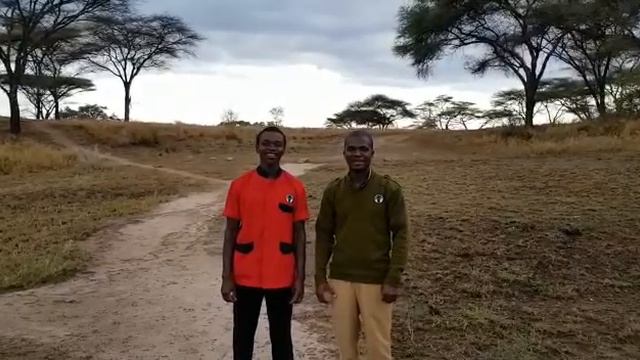 Baobab Serengeti Camp смотреть онлайн