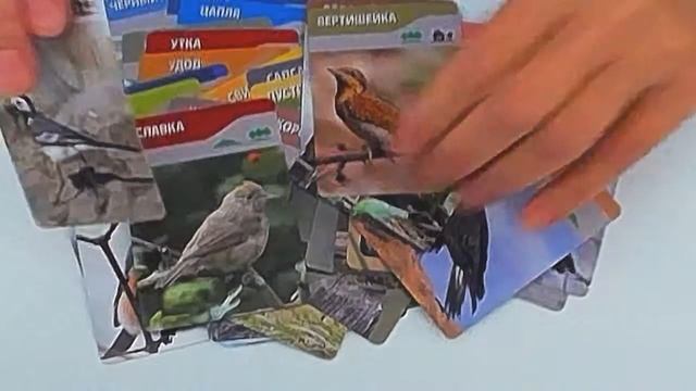 Шпаргалки для мамы. Детям о птицах смотреть онлайн