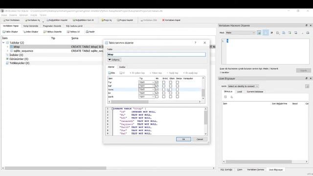 Python ile Kütüphane Uygulaması | PyQT - SQLite смотреть онлайн