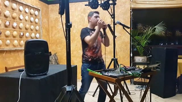 Rock'n'Roll harmonica Sergey Sopko. River-Club Ostrov.14.02.2017. смотреть онлайн