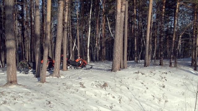 Stels капитан прохват