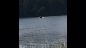 ПВХ лодка с мотором 5 лс