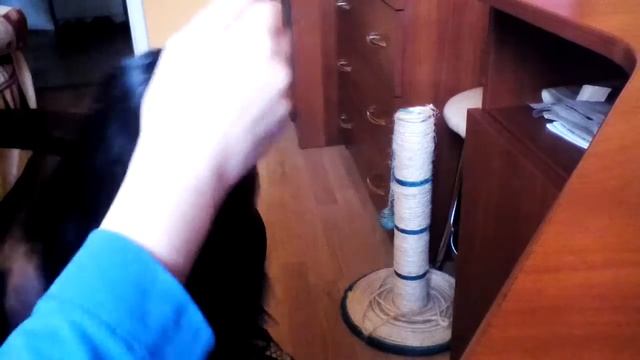 Завивка смотреть онлайн