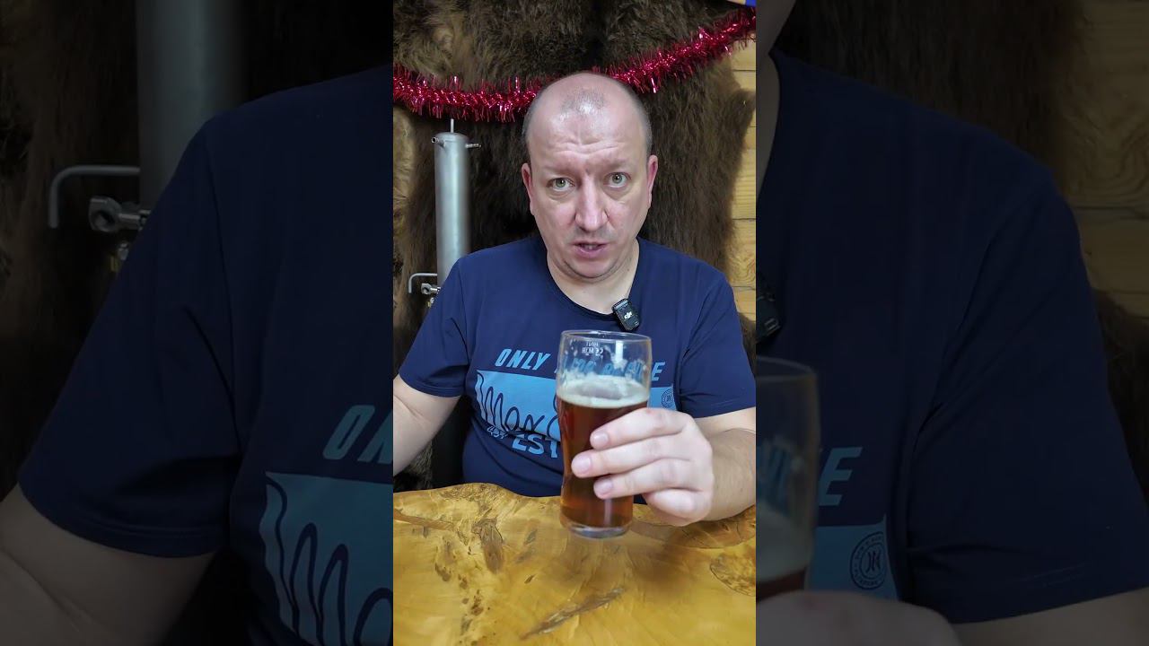 Дегустируем пиво Мэрцен #самозванцы #пиво #shorts смотреть онлайн