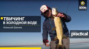 Твичинг в холодной воде. Алексей Шанин. Anglers Practical