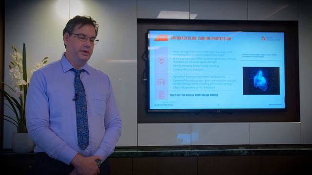 Investor Presentation смотреть онлайн