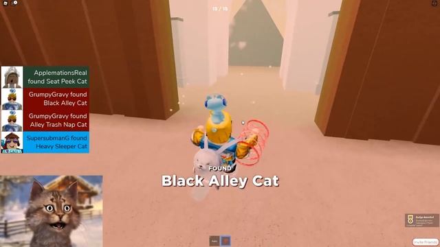 Roblox EXTREME Hide And Seek With My Cats смотреть онлайн