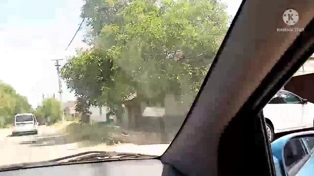 Немного о моих цветах/Катаемся с любимым ? смотреть онлайн