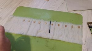 Посев в скрутки кабачков, тыкв и патиссонов