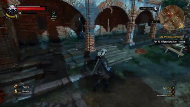 Witcher 3, Burning Dwarves and Exploding Downers (Part 3) смотреть онлайн