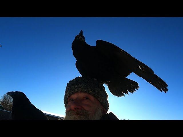 Из текущего бытия. смотреть онлайн