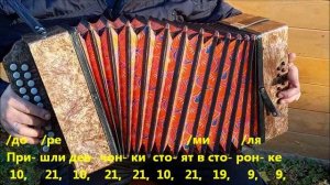 Стоят девчонки