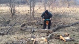 Заготовка дров бензопила Урал 1985 год