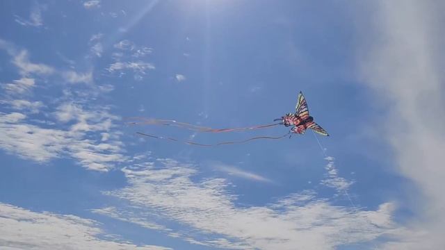 Великолепно летающий воздушный змей, Красная Пелеида смотреть онлайн