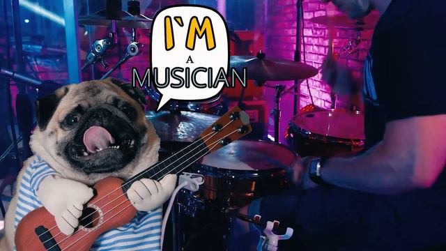 Dogs Green Screen Project смотреть онлайн