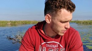 Важен ли цвет приманки на щуку летом?