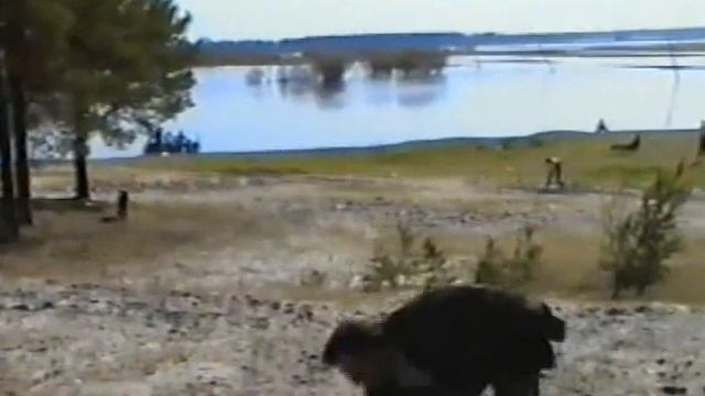 Достаточно трех раз!))) смотреть онлайн