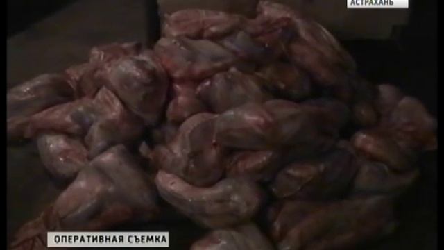 Астраханские пограничники задержали «Газель» с рыбой осетровых пород смотреть онлайн